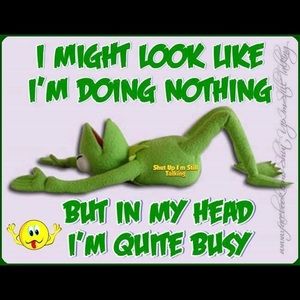 Meet your Posher, Bella